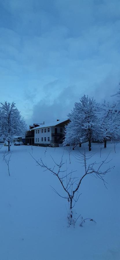 Guest House Tavaduri Mestia Exteriér fotografie